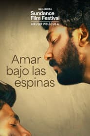 Amar bajo las espinas