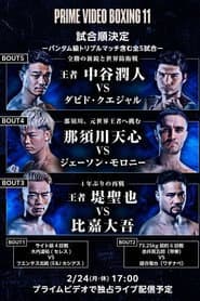 PRIME VIDEO BOXING 11