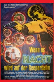 Wenn es Nacht wird auf der Reeperbahn