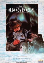 Bajo la aurora boreal
