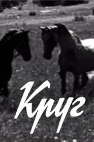Круг