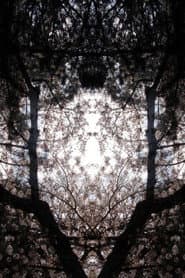 Concrescence