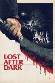 Lost after dark