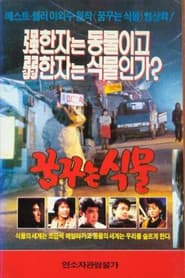 꿈꾸는 식물