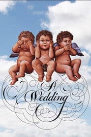 Un día de boda