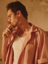 Fever Dream