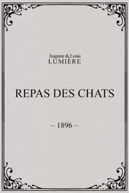 Repas des chats