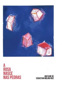 A Rosa Nasce Nas Pedras