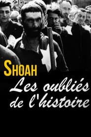 Shoah, los olvidados de la historia