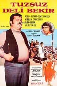 Tuzsuz Deli Bekir