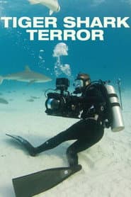 El Temible Tiburón Tigre