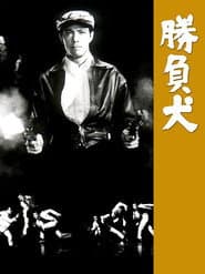 勝負犬