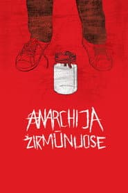 Anarchija Žirmūnuose