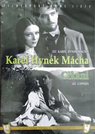 Cikáni