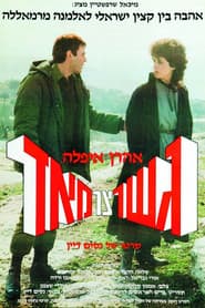 גשר צר מאוד