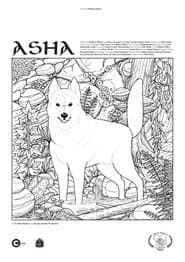 Asha