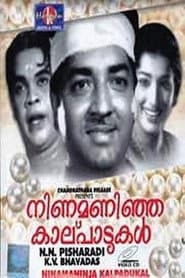 നിണമണിഞ്ഞ കാല്പാടുകൾ
