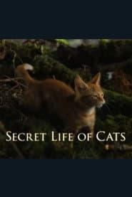 La vida secreta de los gatos