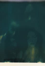 Taboo Cocoon