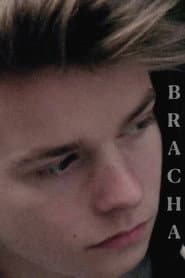 Brácha