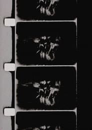 Studies in Image (de) Generation