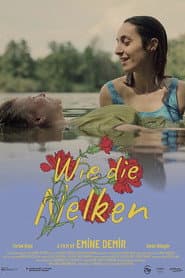 Wie die Nelken