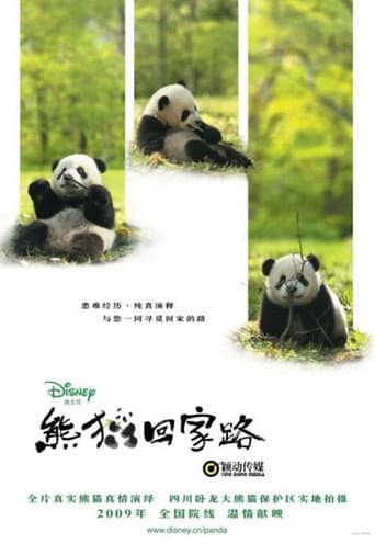 La senda del panda