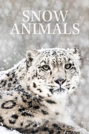 Invierno animal