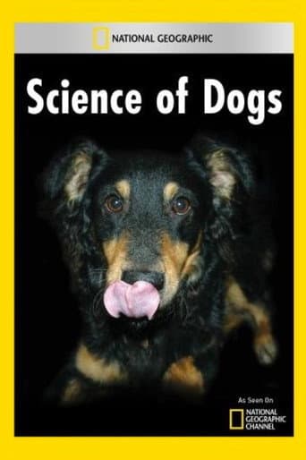 El mundo de los perros