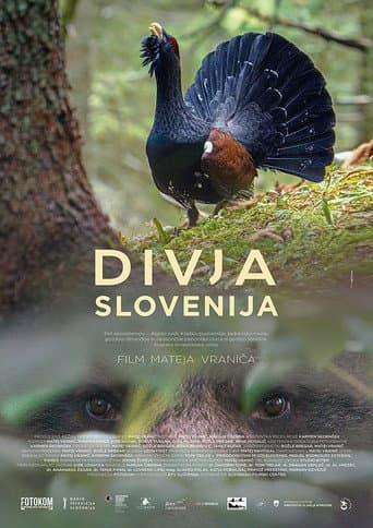Eslovenia salvaje