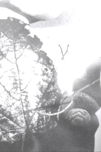 Gyorgy Kepes
