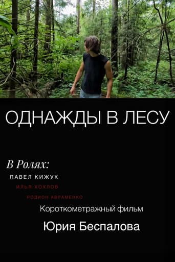 Once Upon a Time in the Forest
