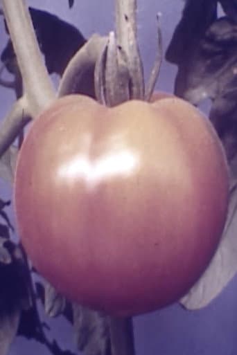 Tomatoe