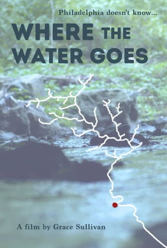 Where the Water Goes