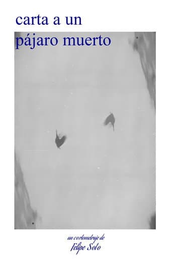 carta a un pájaro muerto