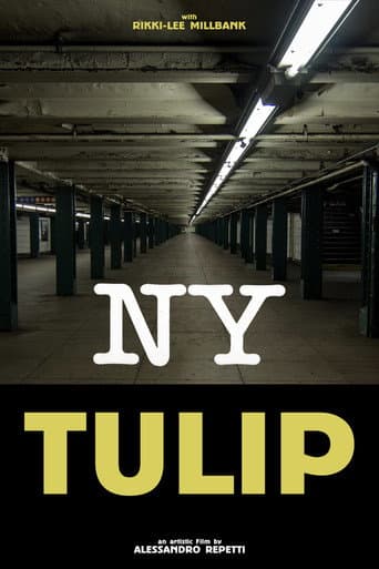 NY Tulip