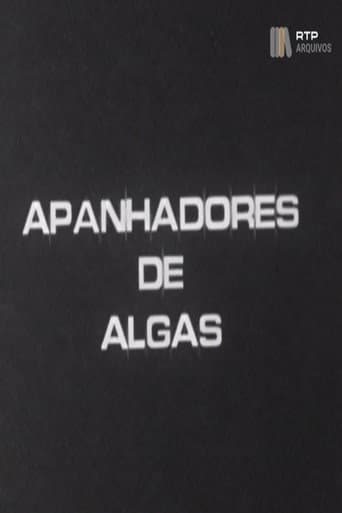 Apanhadores de Algas