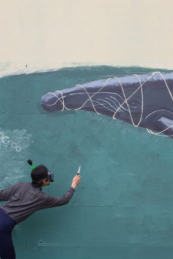 The Whale Story