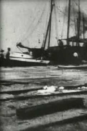 Bird's-Eye View of Dock Front, Galveston