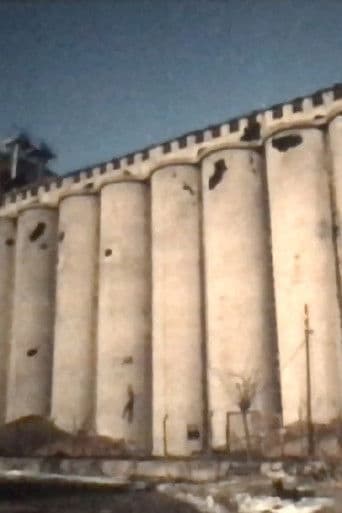 Silos Dunav, Vukovar