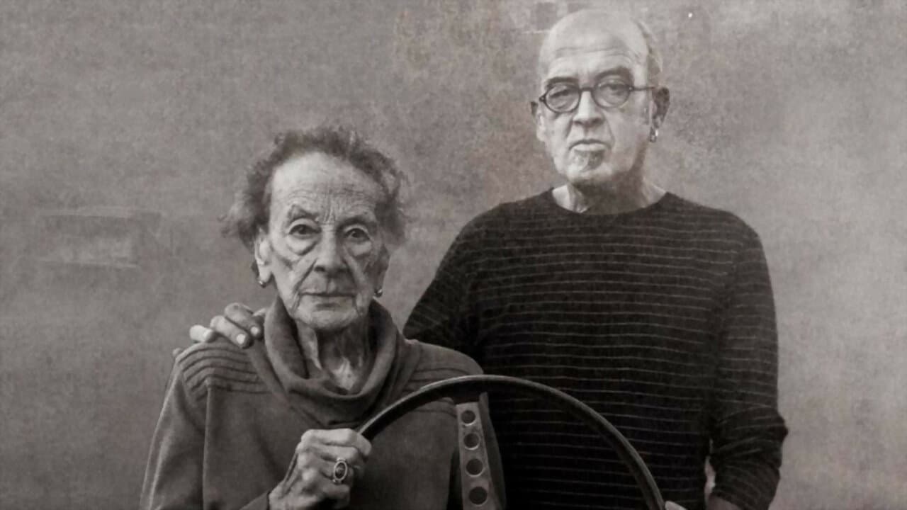 Historia de un volante