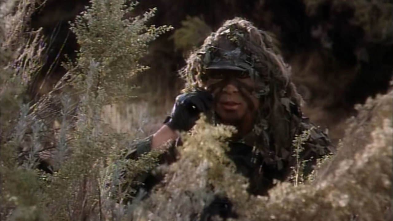 Lobo de guerra