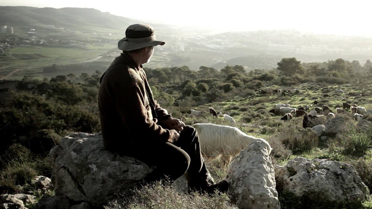 כוכבי לכת: ארבע וריאציות על ניתוק