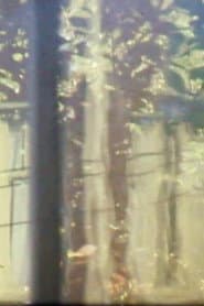 Windchimes, Window, Tree