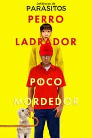Perro ladrador, poco mordedor